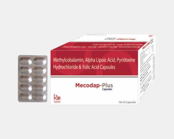 MECODAP PLUS