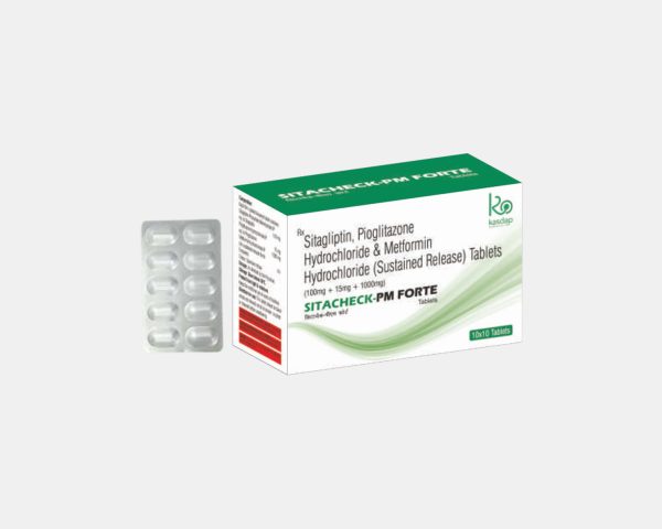 SITACHECK PM FORTE